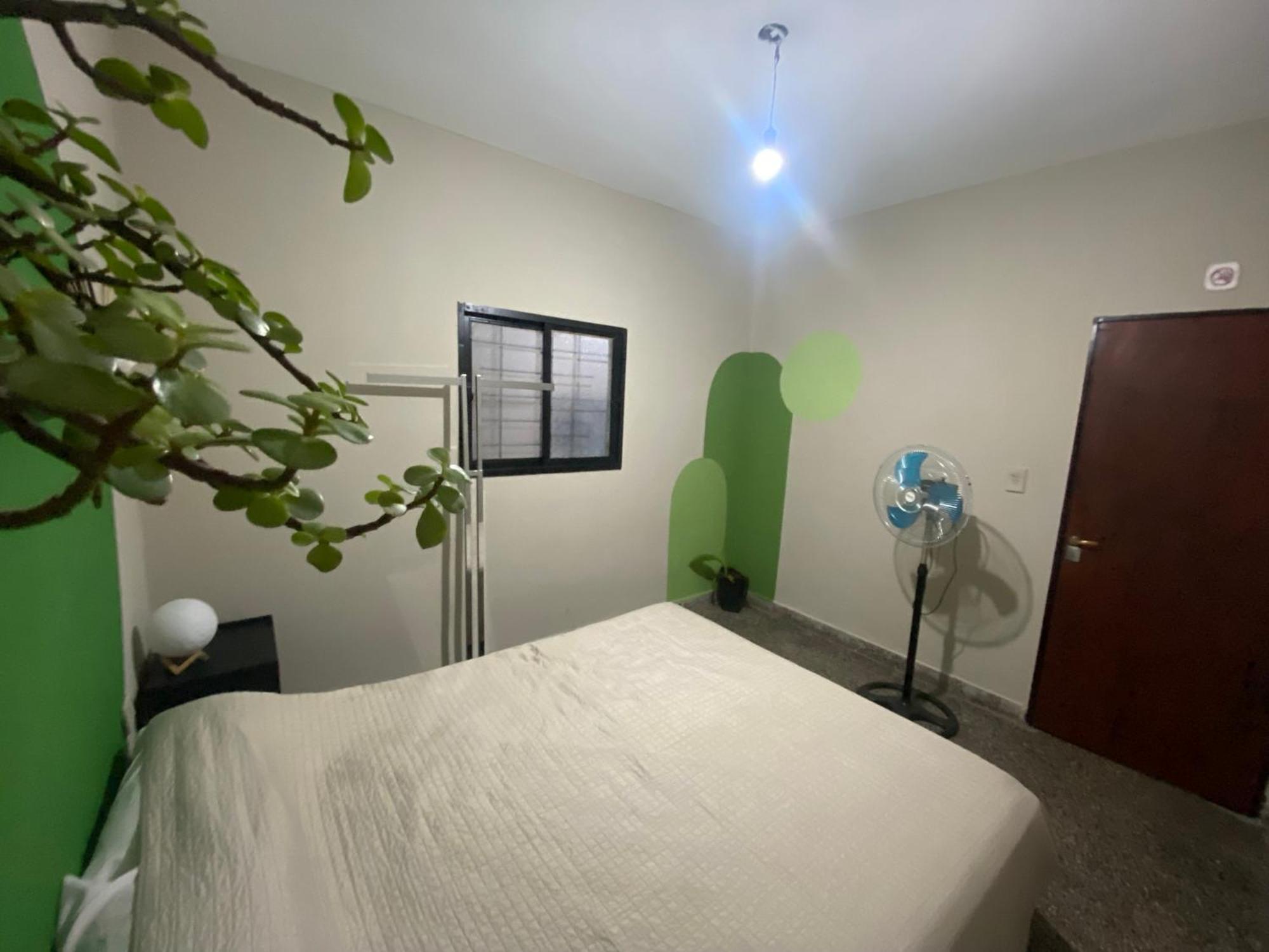 Urban Jungle Hostel San Miguel de Tucuman Bagian luar foto
